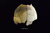 藏品(陶罐)的圖片